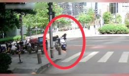 快卖小哥爆料视频大全最新,揭秘电商幕后那些事儿